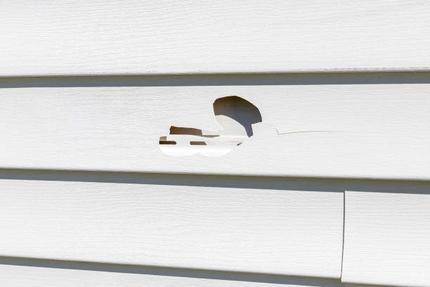 Best Storm Damage Siding Repair  in Avilla, AR